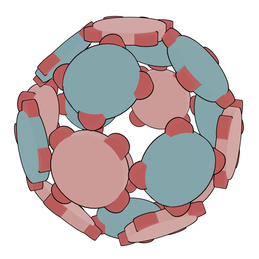 Image of a Sophodron